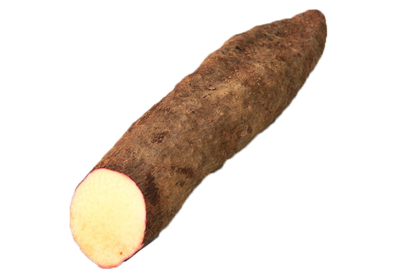 山藥怎么去皮不會手癢 山藥挑選靠4招 山藥怎么去皮不會手癢 山藥挑選靠4招