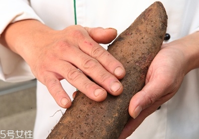 山藥怎么去皮不會手癢 山藥挑選靠4招 山藥怎么去皮不會手癢 山藥挑選靠4招