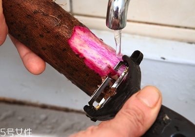 山藥怎么去皮不會手癢 山藥挑選靠4招 山藥怎么去皮不會手癢 山藥挑選靠4招