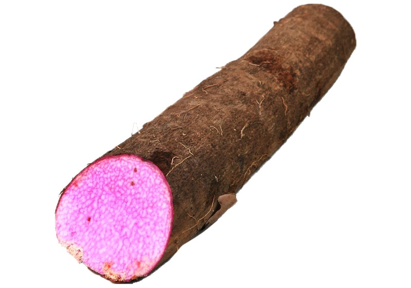 山藥怎么去皮不會手癢 山藥挑選靠4招 山藥怎么去皮不會手癢 山藥挑選靠4招