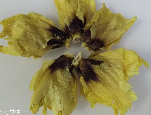 秋葵花怎樣曬干？自然風(fēng)干最佳