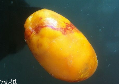 雞寶能吃嗎 食用方法 雞寶能吃嗎 食用方法