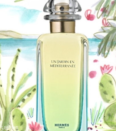 dior迪奧香水和愛馬仕香水哪個好？