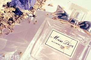 dior迪奧香水和范思哲香水哪個好？