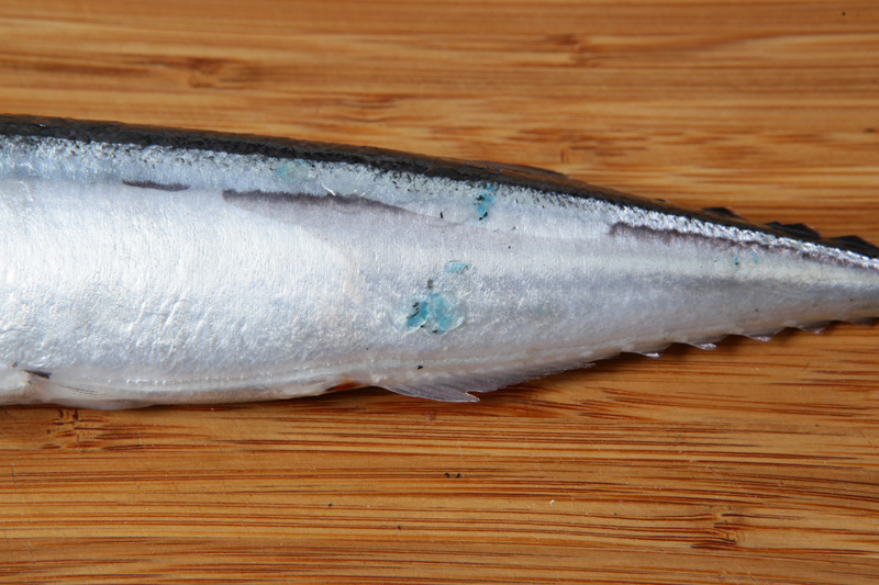 秋刀魚怎么處理？秋刀魚怎么挑選