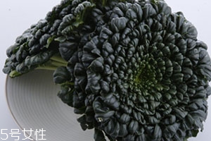 塔菜多少錢一斤？塔菜又稱菊花菜