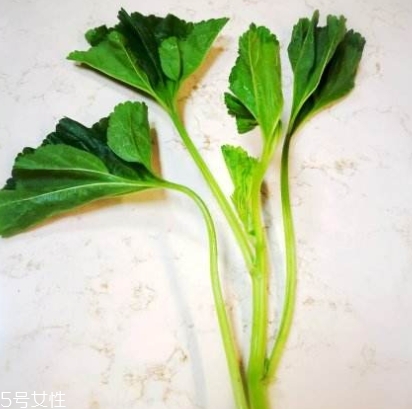 冬寒菜多少錢一斤？