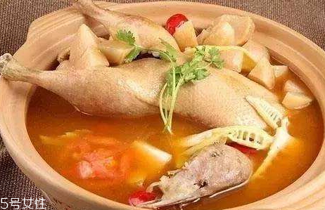 鴨湯是涼性的嗎 肉性味甘偏寒 鴨湯是涼性的嗎 肉性味甘偏寒