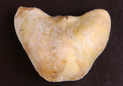 菱角怎么保存與挑選 菱角怎么保存與挑選