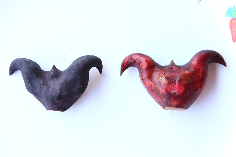 菱角怎么保存與挑選 菱角怎么保存與挑選