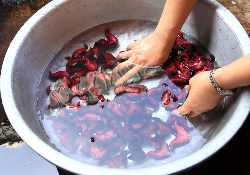 菱角怎么保存與挑選 菱角怎么保存與挑選