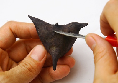 菱角怎么保存與挑選 菱角怎么保存與挑選