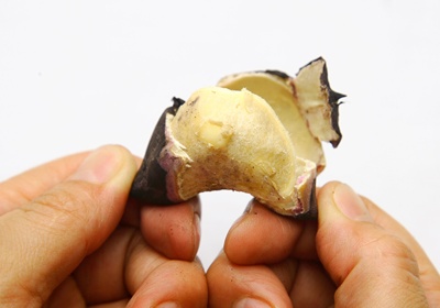 菱角怎么保存與挑選 菱角怎么保存與挑選