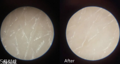 悅薇眼霜日本多少錢一瓶？悅薇眼霜日本專柜價