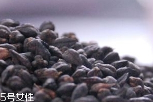 黑苦蕎茶上火嗎？蒸煮法苦蕎茶不上火