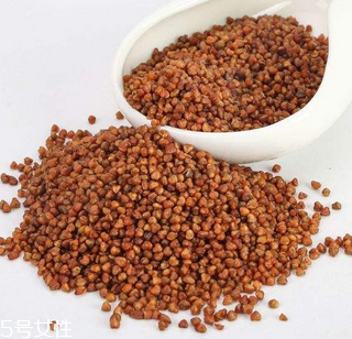 黑苦蕎茶上火嗎？蒸煮法苦蕎茶不上火