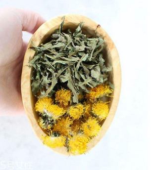 蒲公英茶哪些人不宜喝？這三種人要避開(kāi)