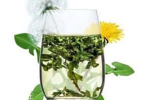 蒲公英茶哪個牌子好？大牌子值得信賴