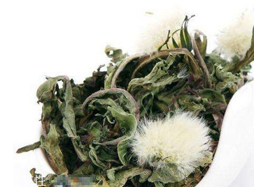 蒲公英茶怎么做？蒲公英茶做法超簡(jiǎn)單