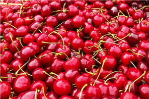 櫻桃怎么挑選 選擇結(jié)實(shí)的就對了