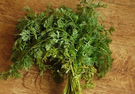 新鮮的胡蘿卜怎么保存與挑選 新鮮的胡蘿卜怎么保存與挑選