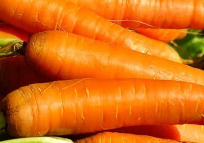 新鮮的胡蘿卜怎么保存與挑選 新鮮的胡蘿卜怎么保存與挑選