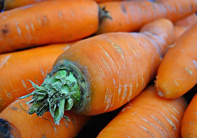 新鮮的胡蘿卜怎么保存與挑選 新鮮的胡蘿卜怎么保存與挑選