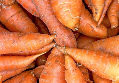 新鮮的胡蘿卜怎么保存與挑選 新鮮的胡蘿卜怎么保存與挑選