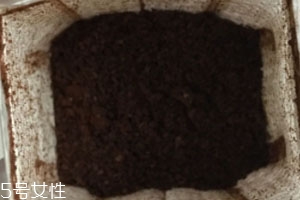 藍(lán)山掛耳咖啡好喝嗎 沖泡方法 藍(lán)山掛耳咖啡好喝嗎 沖泡方法
