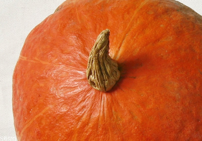 南瓜怎么保存與挑選才好吃 南瓜怎么保存與挑選才好吃