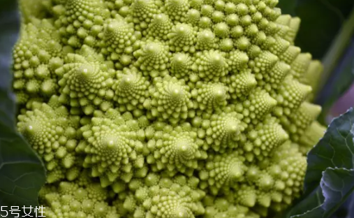 花菜在冰箱能放幾天？不要超過(guò)7天