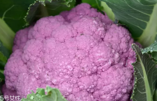 花菜在冰箱能放幾天？不要超過(guò)7天