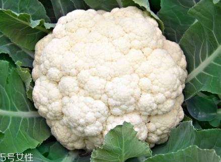 花菜在冰箱能放幾天？不要超過(guò)7天