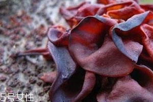 血耳多少錢一斤？來自大山的饋贈