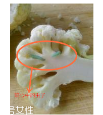 花菜怎么洗才干凈？一定要把蟲(chóng)子洗掉