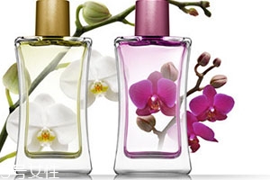 sisley希思黎香水哪款好用？