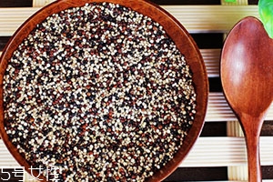 藜麥可以蒸米飯嗎？藜麥蒸米飯要泡嗎？