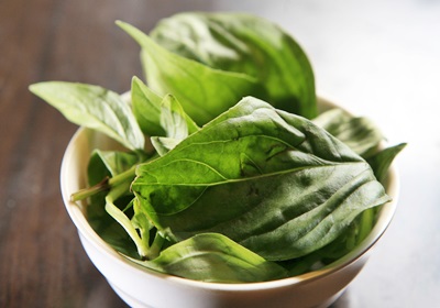 三杯雞的做法哪三杯 三杯雞的三杯是什么意思 三杯雞的做法哪三杯 三杯雞的三杯是什么意思