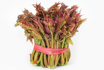 香椿怎樣長(zhǎng)期保存？這樣做可儲(chǔ)存一年