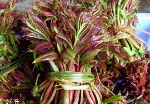 香椿怎樣長(zhǎng)期保存？這樣做可儲(chǔ)存一年