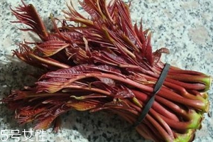 香椿涼拌怎么做好吃？超級(jí)簡(jiǎn)單的3道開胃菜