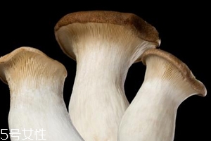 杏鮑菇怎么洗才干凈？鹽水泡泡輕松去污