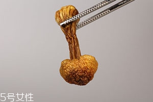 姬松茸多少錢一斤？