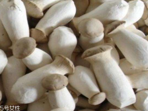 杏鮑菇生酶了能吃嗎？長毛了也能吃