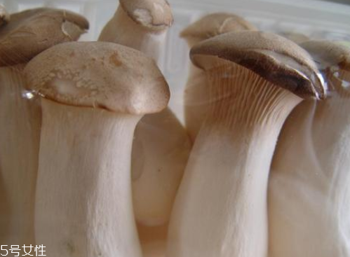 杏鮑菇生酶了能吃嗎？長毛了也能吃