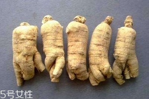 西洋參會回奶嗎？不用擔(dān)心這個問題