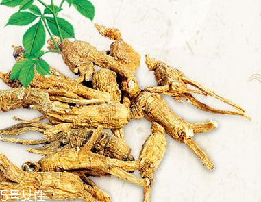 西洋參會過敏嗎？不排除這種可能