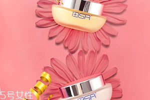 bsr博生能是什么牌子？哪國(guó)的