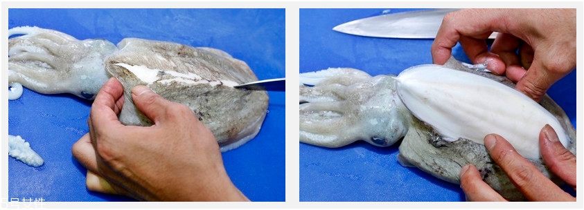 墨魚怎么處理才能清洗干凈 墨魚怎么處理才能清洗干凈