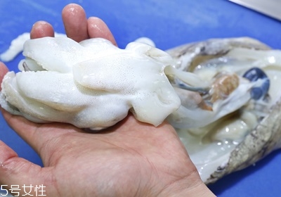 墨魚怎么處理才能清洗干凈 墨魚怎么處理才能清洗干凈